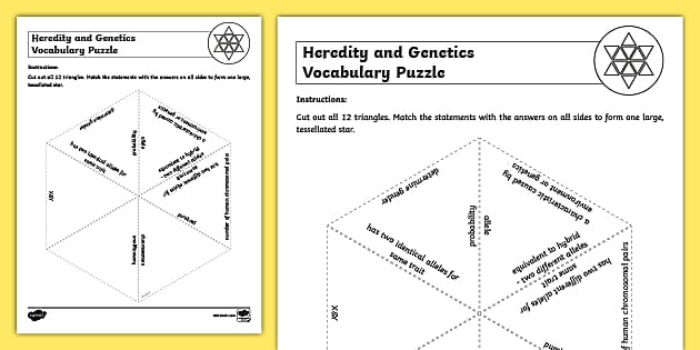 heredity worksheet answers