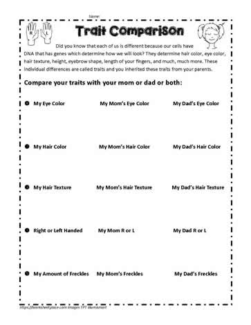 Heredity and Trait Comparison Worksheets