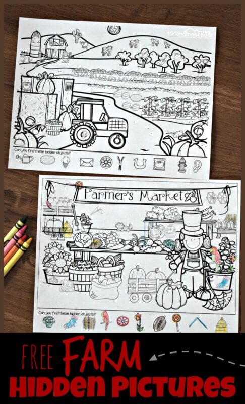 hidden pictures in pictures printable