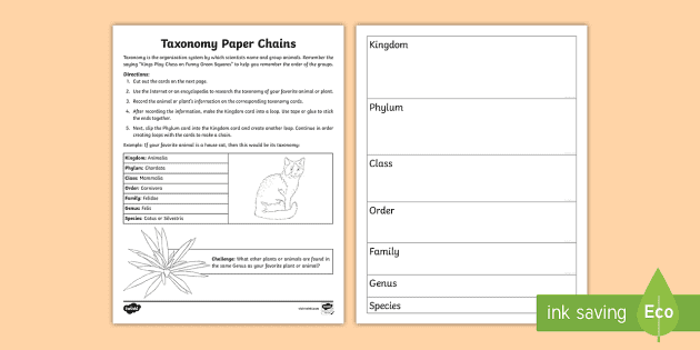 Build a Quadrilateral Activity for 3rd-5th Grade - Twinkl