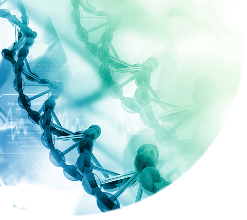 Free High School Biology Worksheets | Download Online Biology ...