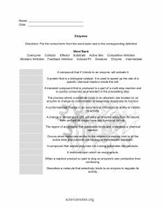 Biology Worksheets, Notes, and Quizzes (PDF and PNG)