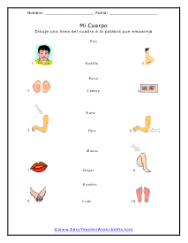 French Worksheets
