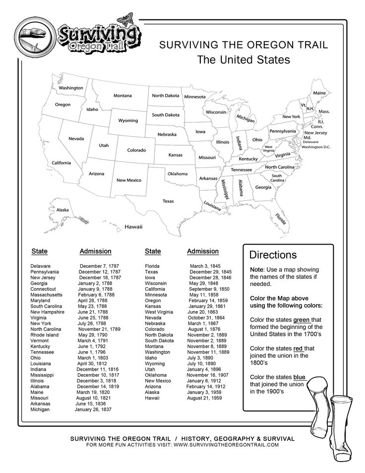 history printable worksheet