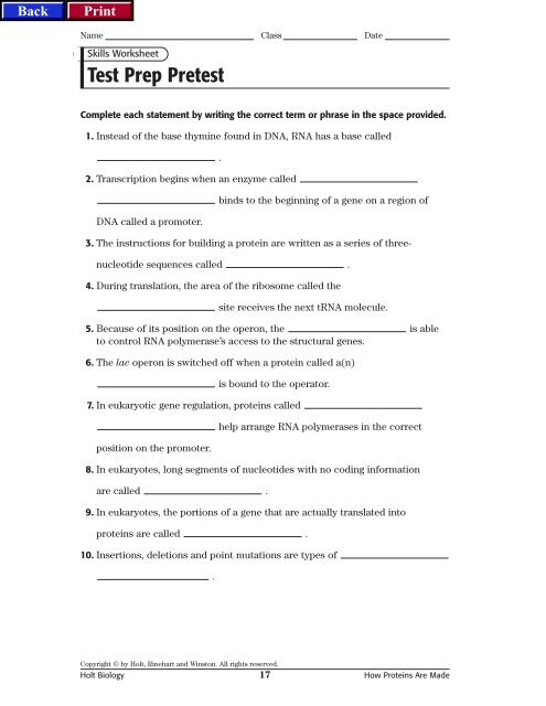 holt biology worksheet answers