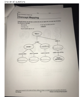 holt biology worksheet answers