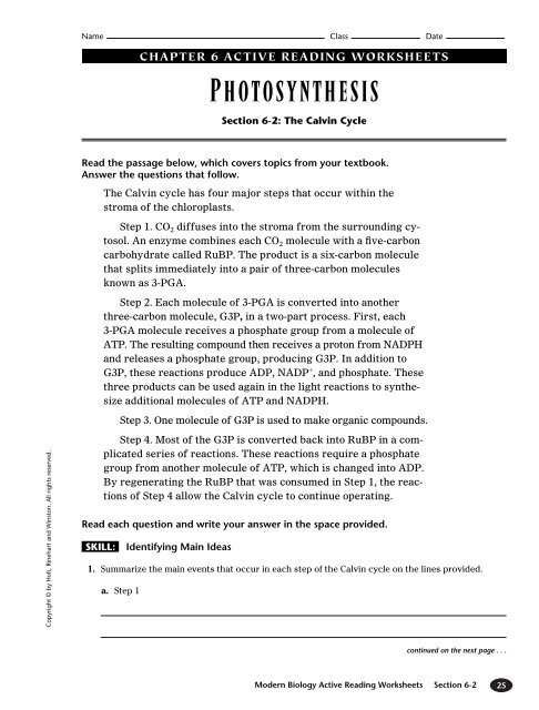 holt biology worksheet answers