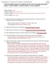 holt-biology-worksheet-answers-11.jpg - Name Class Dale lnteracons ...