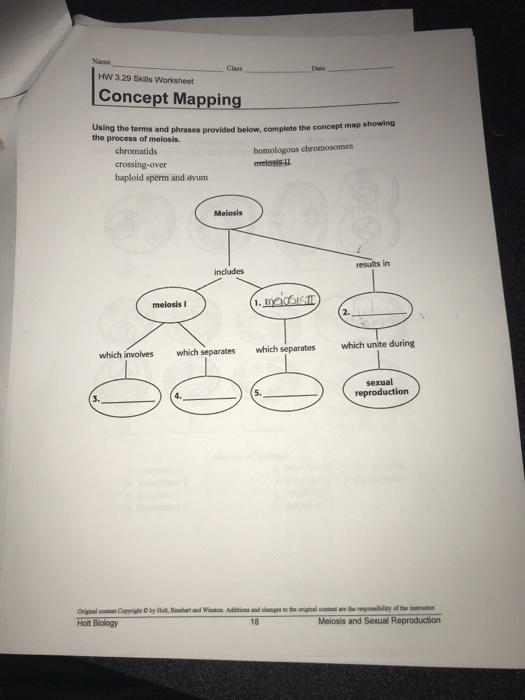 Solved Class HW 3.29 Skills Worksheet Concept Mapping | Chegg.com