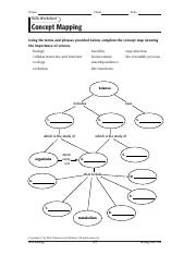 holt biology worksheet