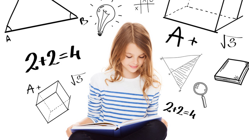 Holt McDougal Algebra I: Online Textbook Help Course - Online ...