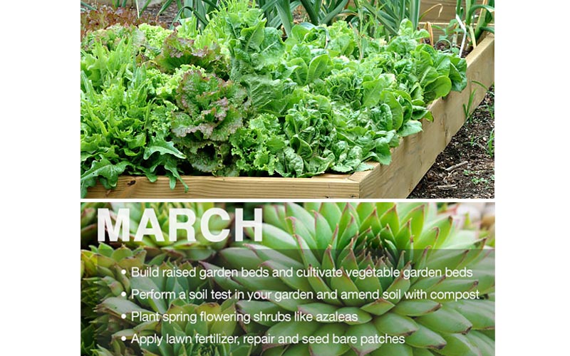 home depot garden club coupons printable