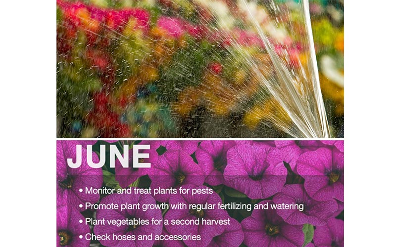 Plan the Year with The Home Depot Garden Club Calendar - The Home ...