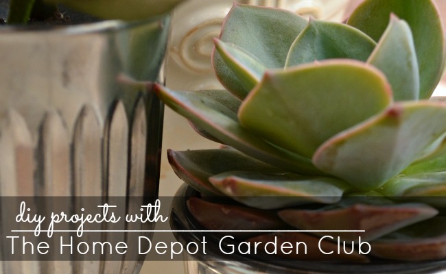 home depot garden club coupons printable