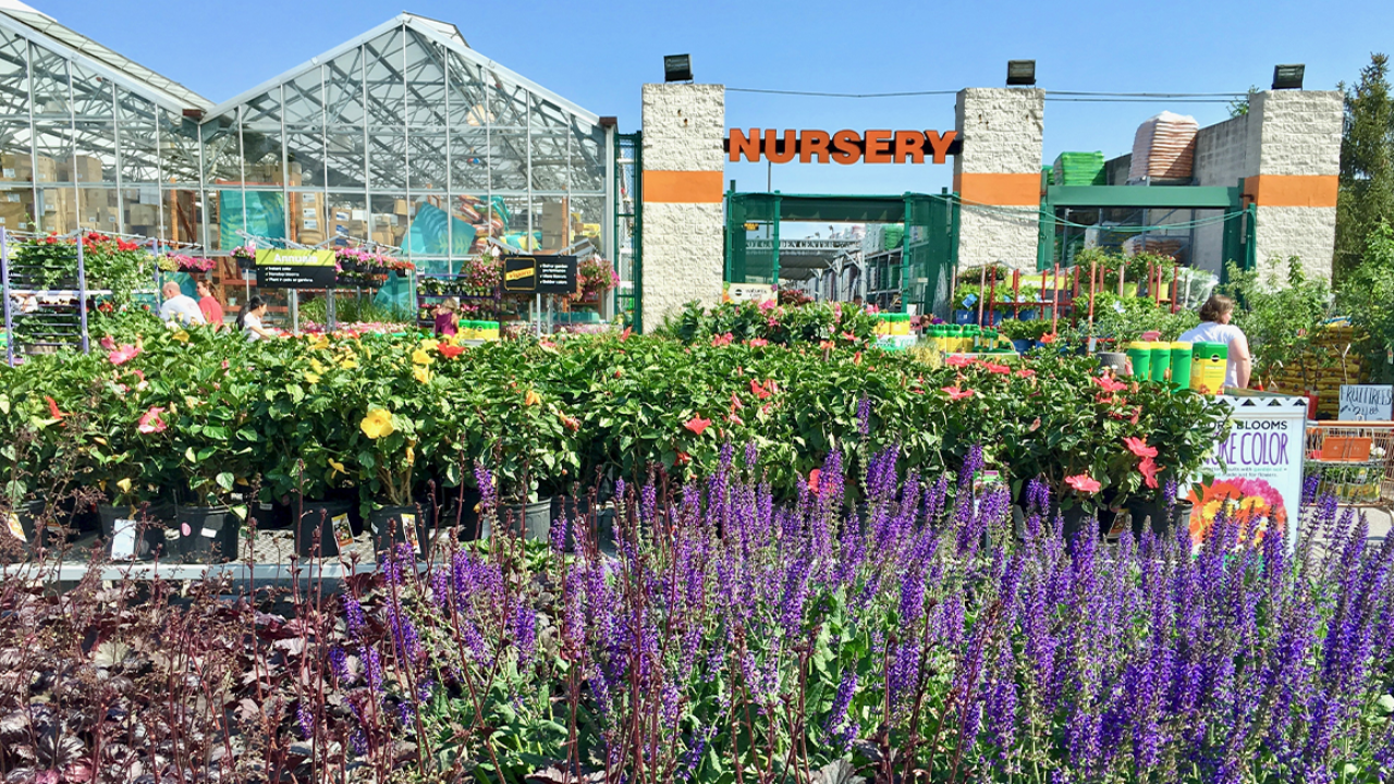 home depot garden coupons printable
