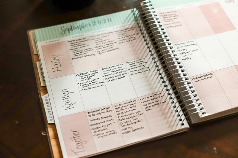 Homeschool: Planning in Reverse - A Healthy Slice of Life