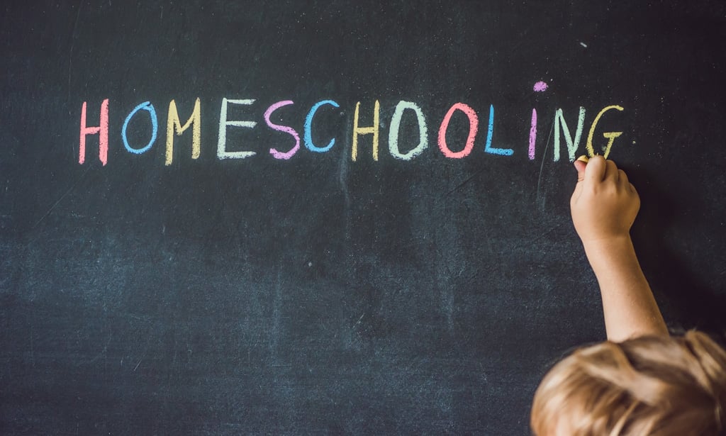 How Does Homeschooling Work? | Bridgeway Academy