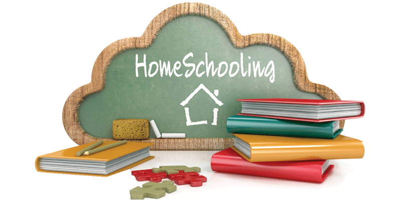 Top 6 things to know about homeschooling in Washtenaw County - Ann ...