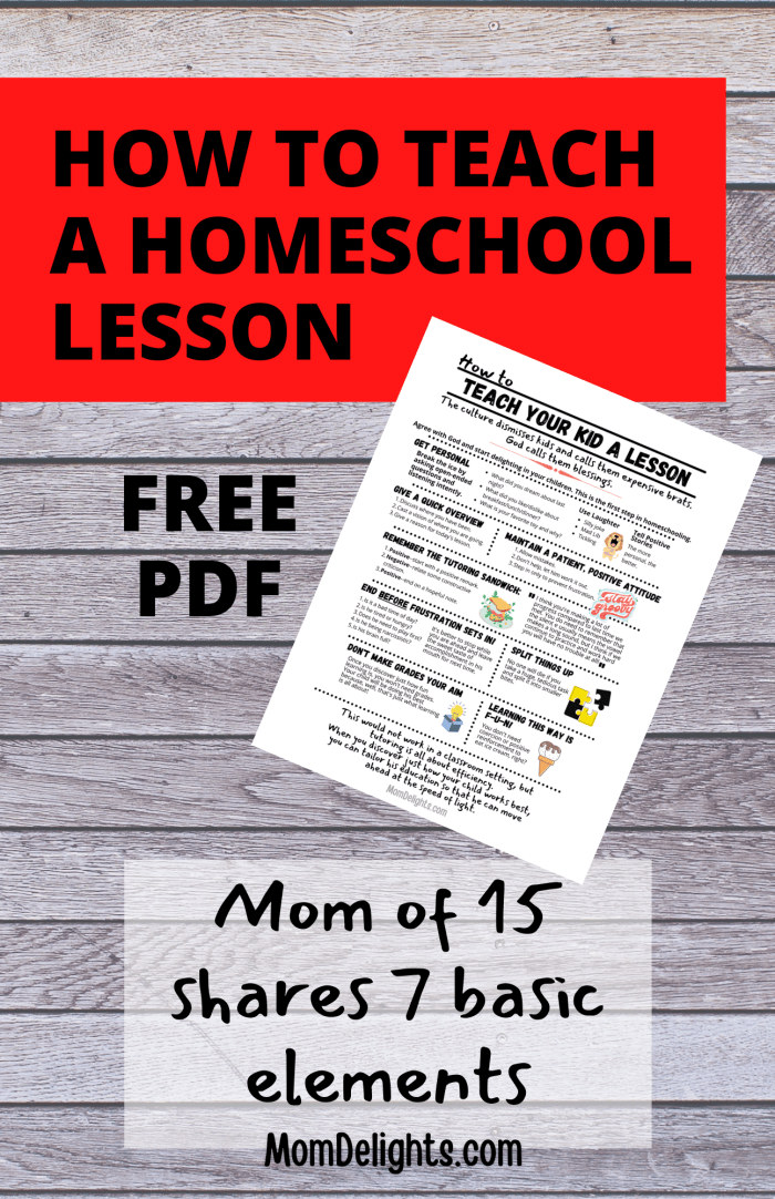 How to Teach a Homeschool Lesson • Mom Delights