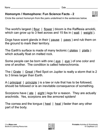 homonym worksheet free