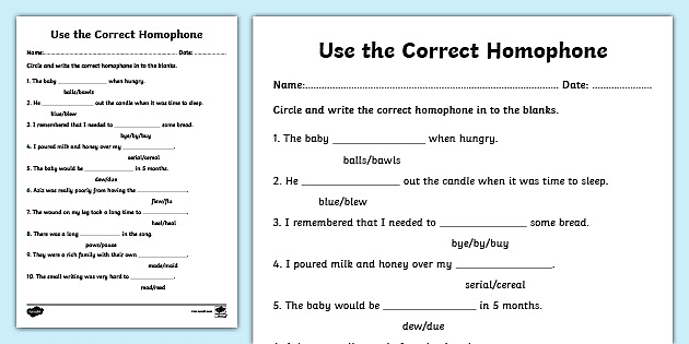 homonym worksheet high school