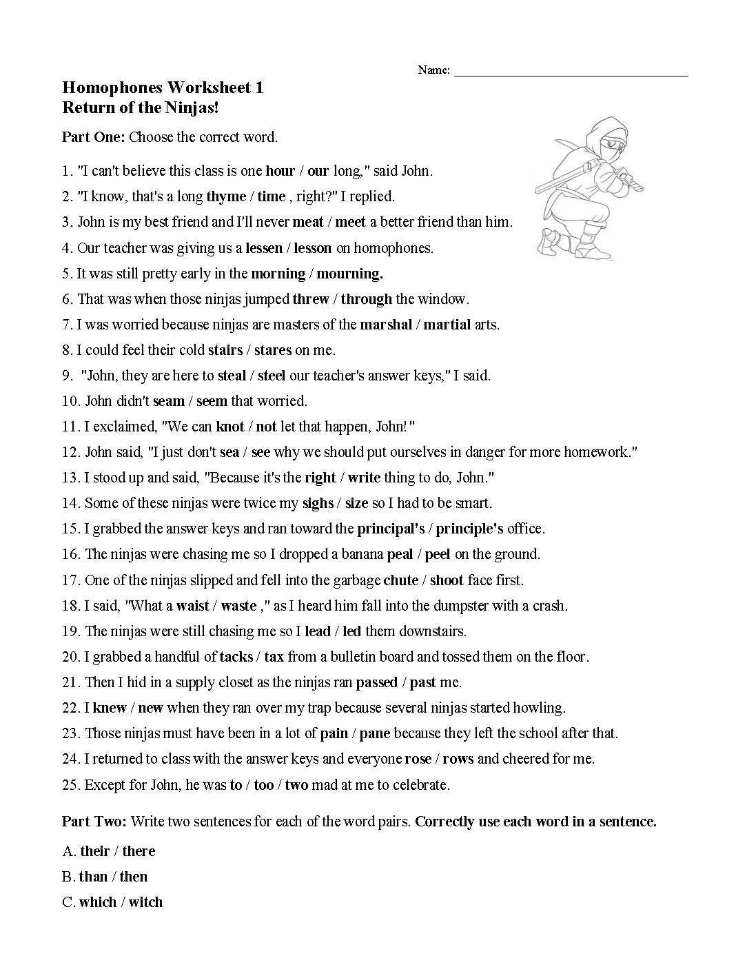 Homophones &  Word Choice Worksheets | Language Arts Activities