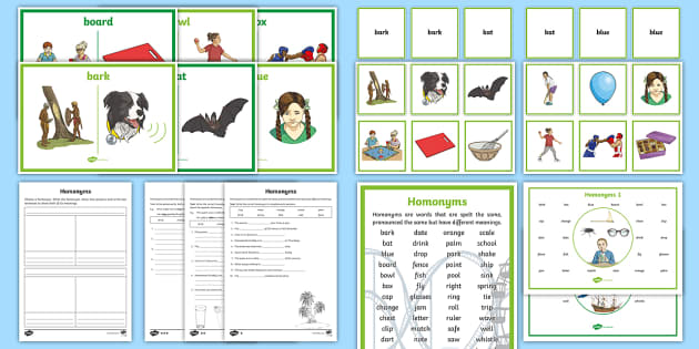 Homonyms Activity Pack (teacher made) - Twinkl