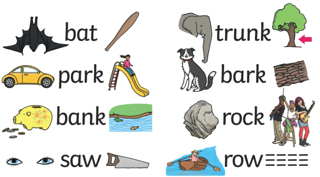 homonyms sentences