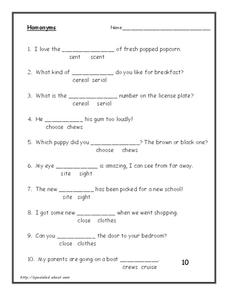 homonyms worksheet 5th grade
