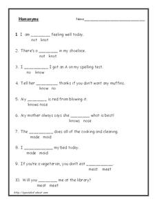 homonyms worksheet grade 3
