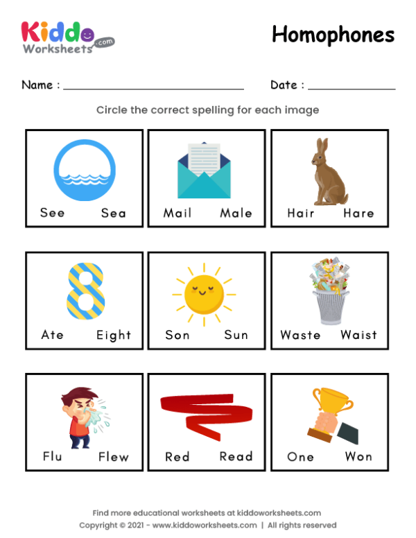 homophone printable worksheet