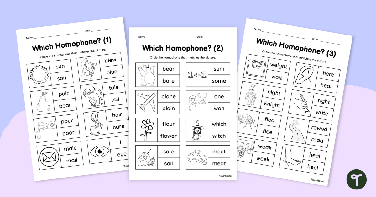 homophone worksheet free