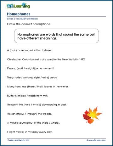 homophone worksheet grade 4