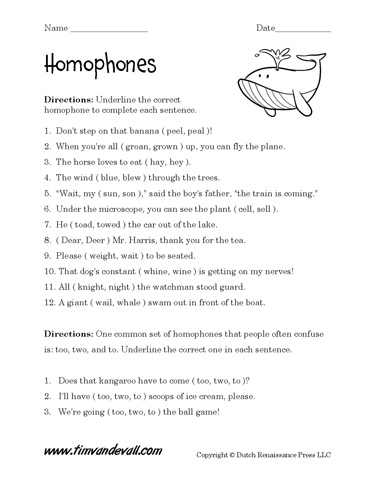 homophone worksheet grade 6