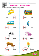 homophones 1st grade worksheet