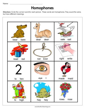 homophones 1st grade worksheet