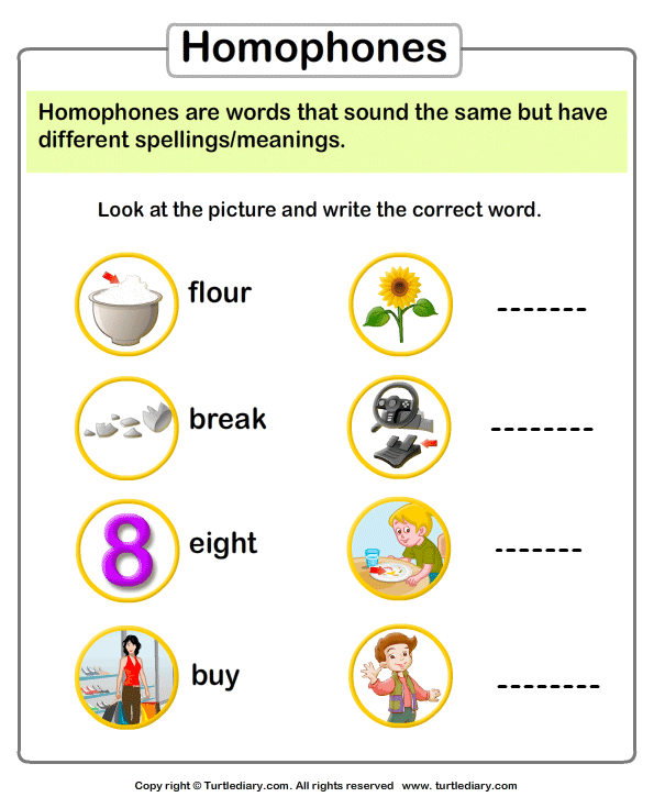 homophones 1st grade worksheet