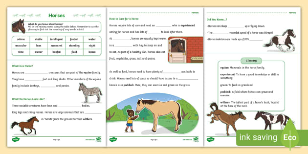 KS1 Horse Cloze Activity (teacher made) - Twinkl