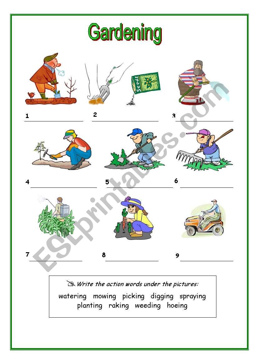Gardening - ESL worksheet by Apodo