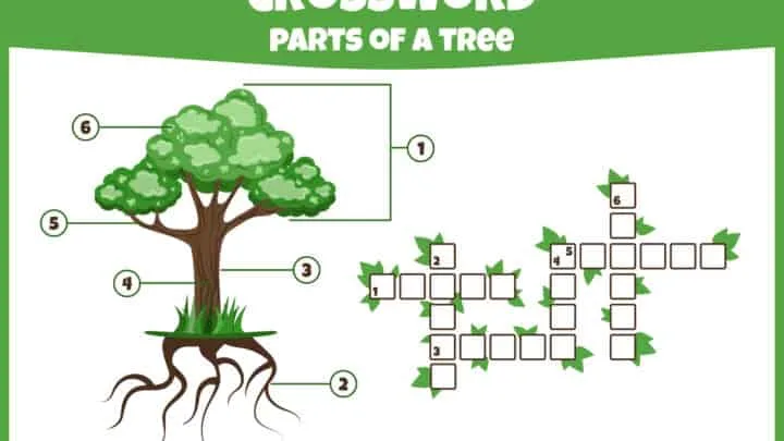 17 Free Garden Worksheets for Kids - Hess UnAcademy