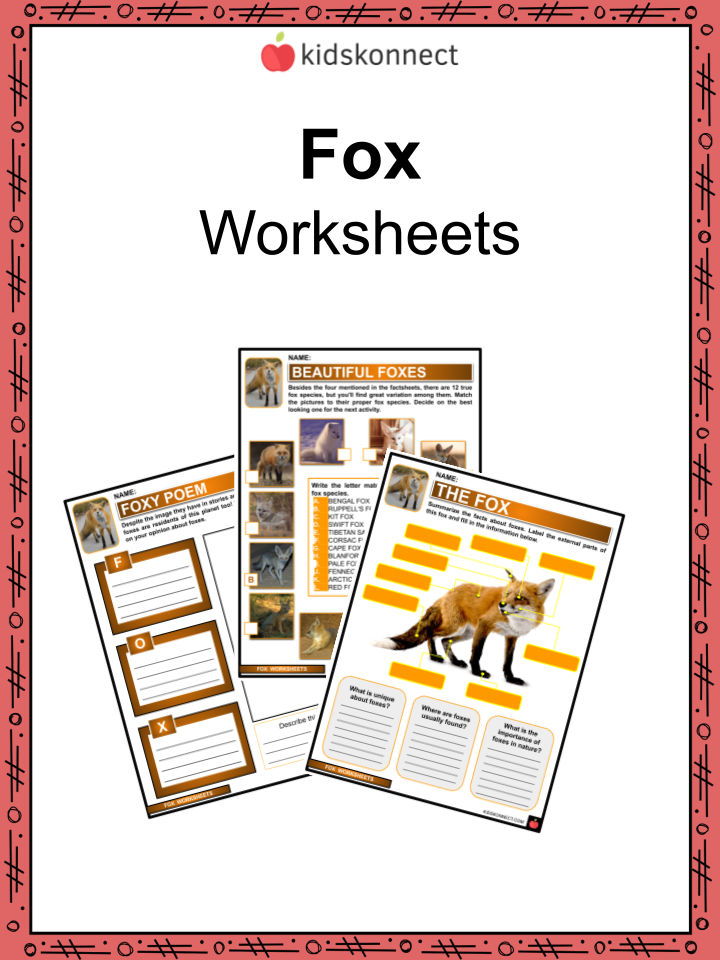 hound dog true worksheet