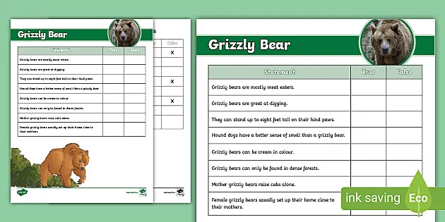 Grizzly Bear True or False Activity - Grades 4-6 - Twinkl