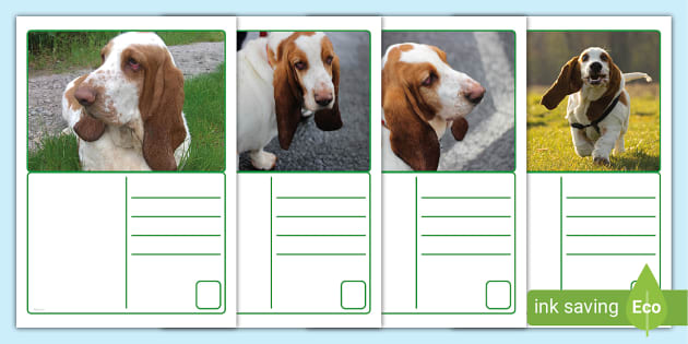 FREE! - Free Basset Hound Postcards for Kids | Download from Twinkl