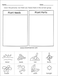 What plants need to grow worksheets for preschools