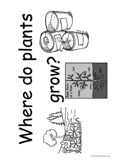 How Do Plants Grow? Plant Life Worksheets for Kids Worksheets Library How Do Plants Grow? Plant Life Worksheets for Kids Worksheets Library