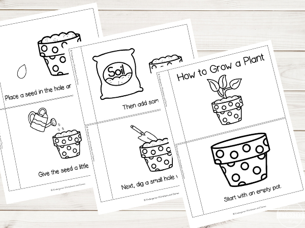 how plants grow worksheet