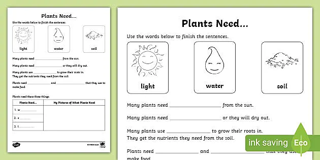 How Do Plants Grow? Plant Life Worksheets for Kids Worksheets Library How Do Plants Grow? Plant Life Worksheets for Kids Worksheets Library