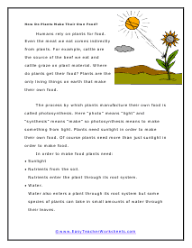how plants make food worksheet