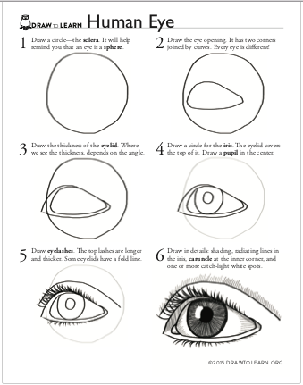 How to Draw a Human Eye Worksheet