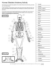 Kami Export - Samara Garcia - Skeleton worksheet.pdf - Human ...